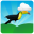Crazy Toucan | The bird game