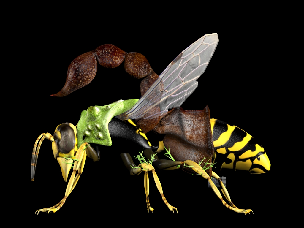 Mutant Wasp 3d Image Hive Wars Indie Db 2992