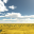 Desert Wandering Simulator 2015