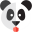 Janez the panda