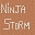 NinjaStorm