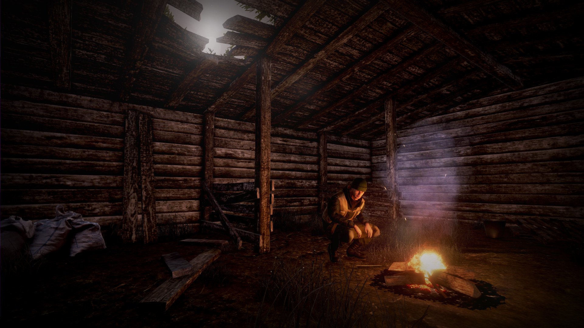 Survival steam. Игра Некст дей. Day Survival. Стим выживание. Next Day Survival Скриншоты.