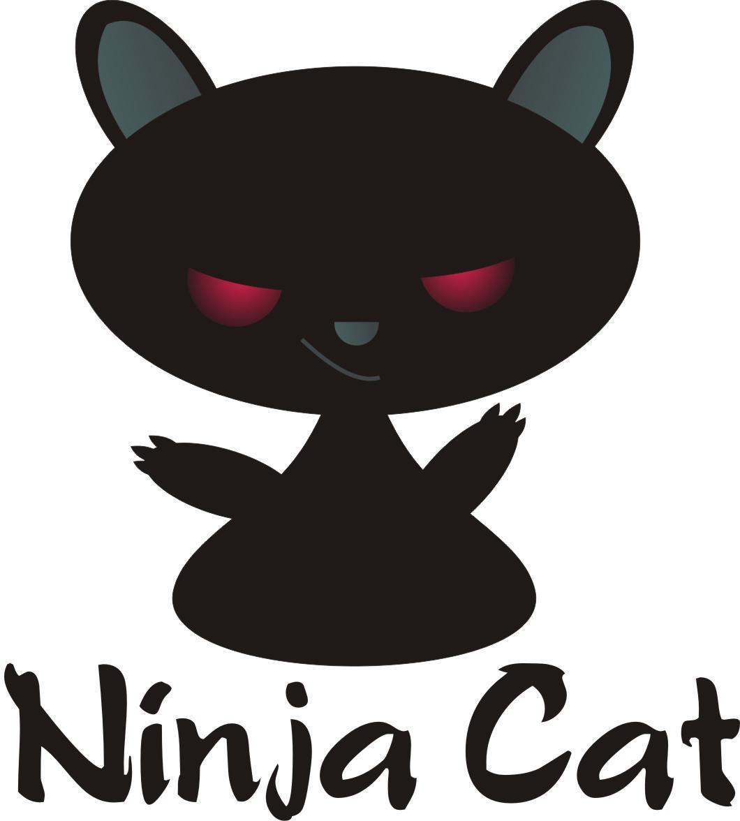cat ninja pictures