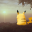 Pokémon Life: Pikachu