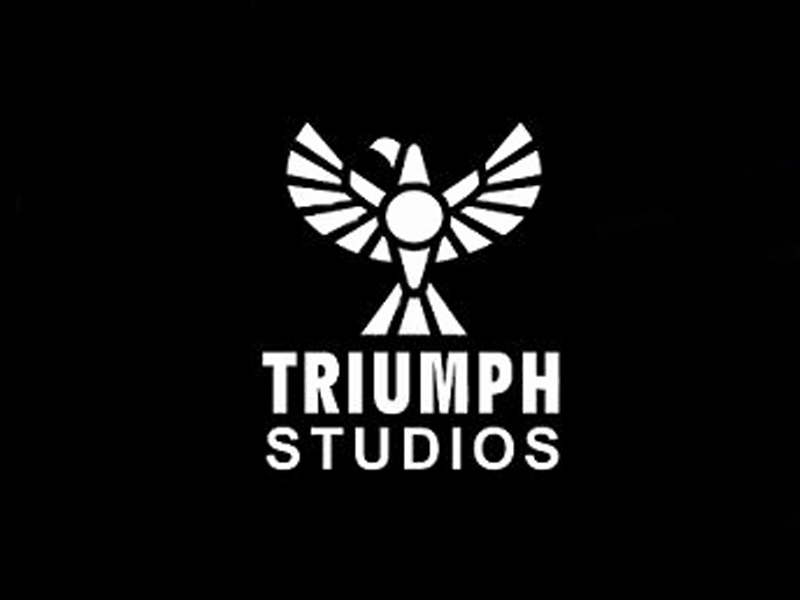triumph design studio edmore mi