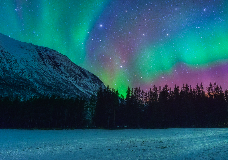 Aurora