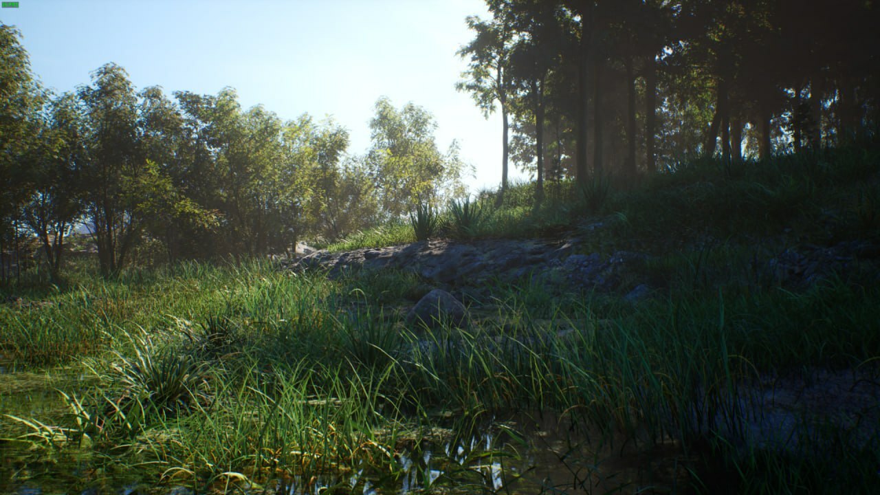 A Stone Simulator