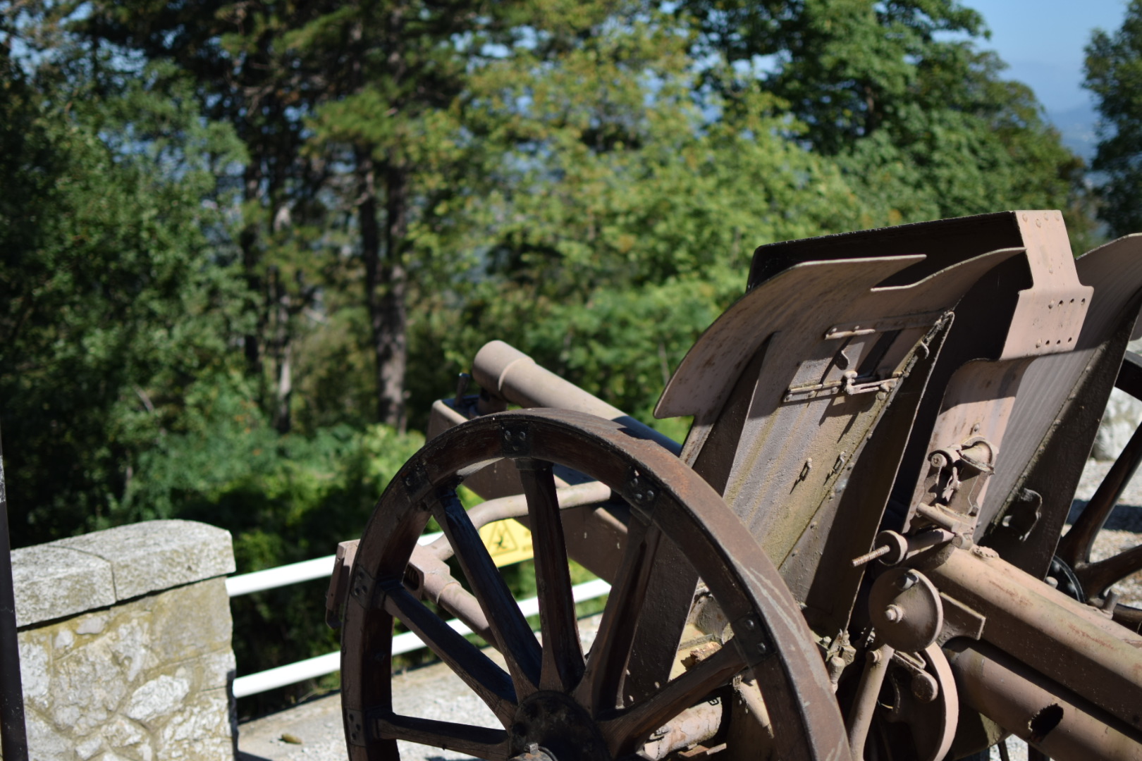 TripPhoto22 FieldGun