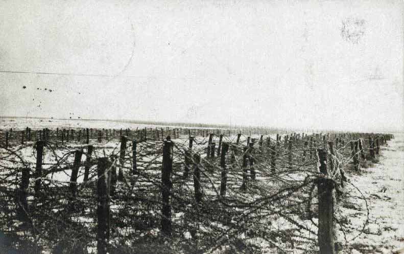 ww1 barbed wire fence