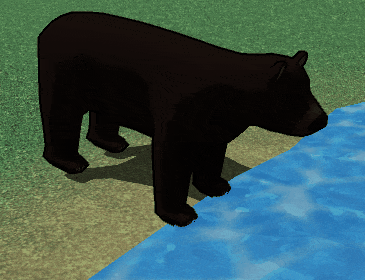 bear2 optimized