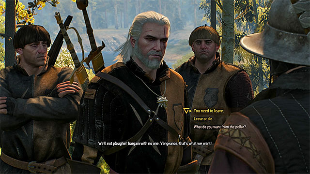 Witcher 3 Dialogue Example