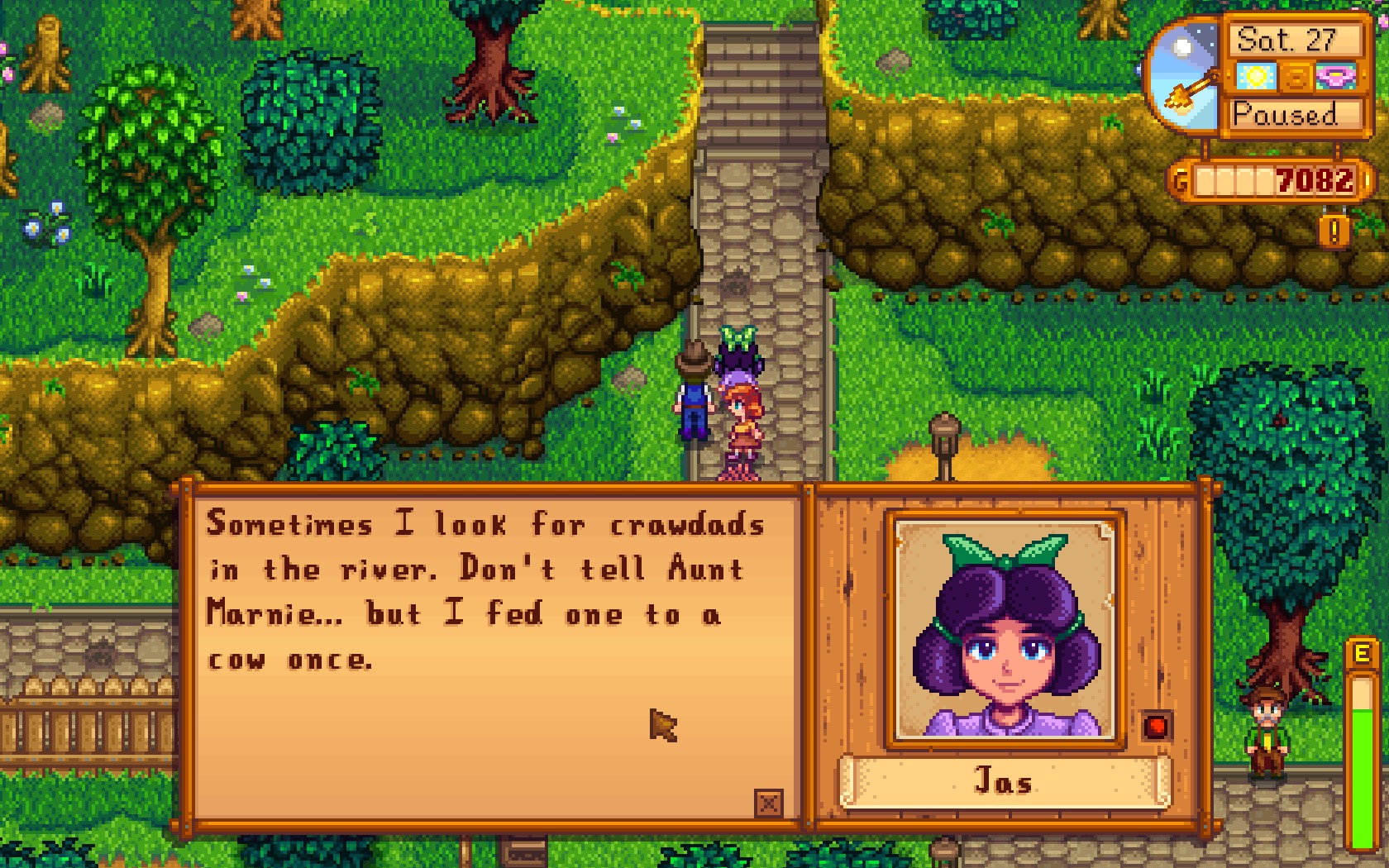 Stardew Valley - Conversation