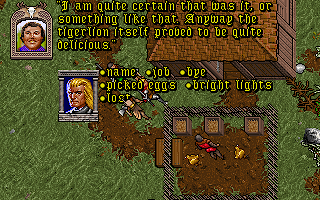 Ultima VII - Conversation