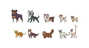 Cats and dogs and cats and dogs