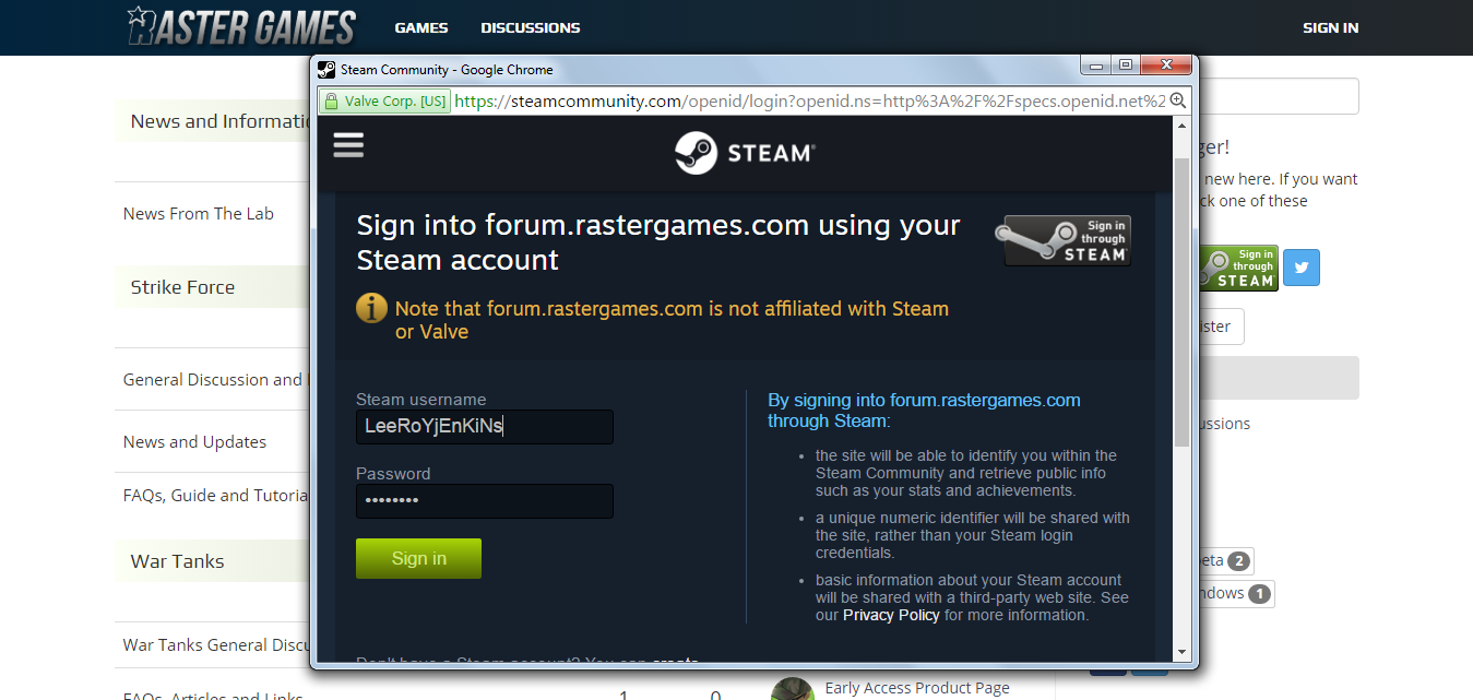 RasterGames SteamLoginProcess