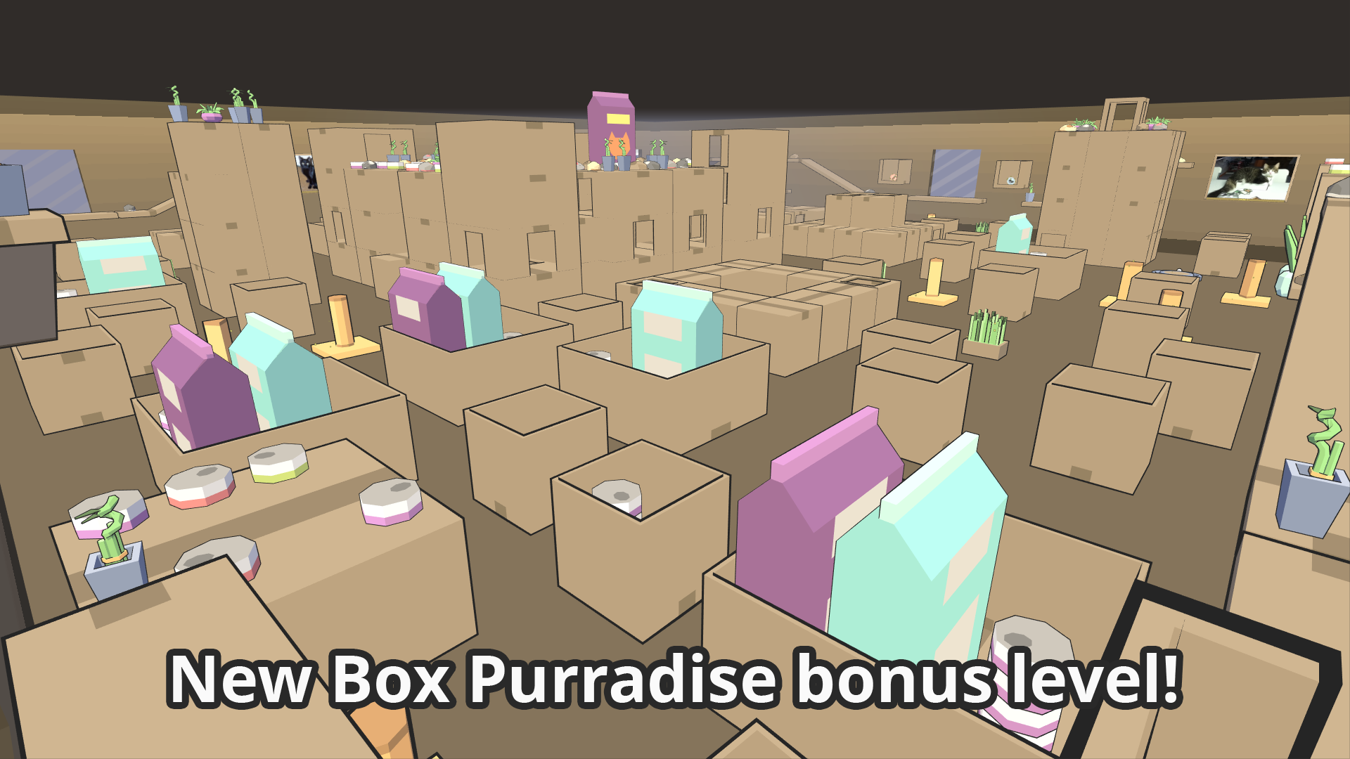 Box Purradise