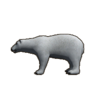 animal6