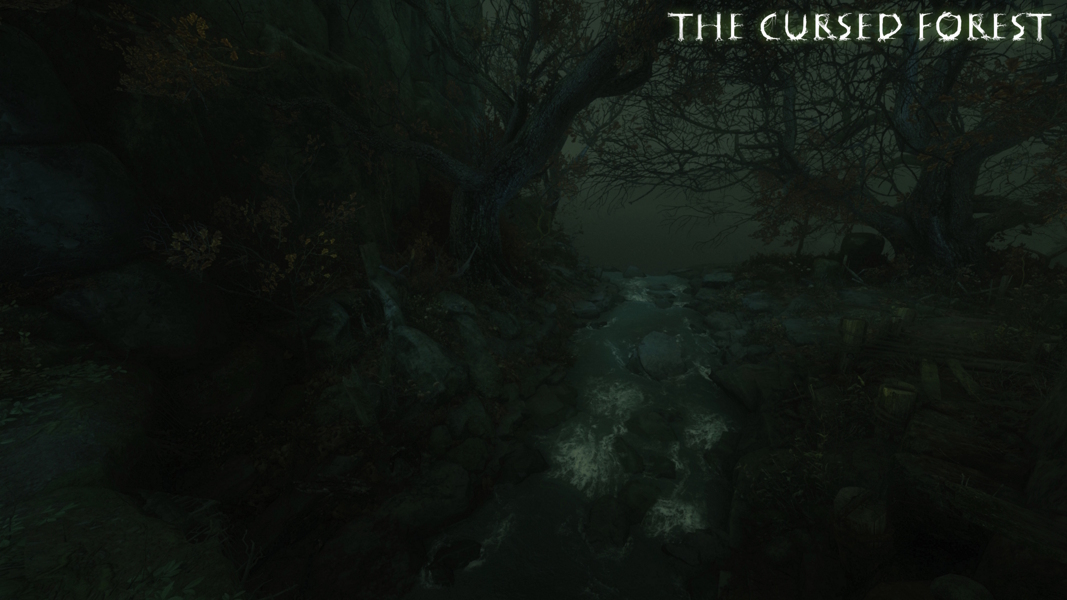 The Cursed Forest L5 crossroads