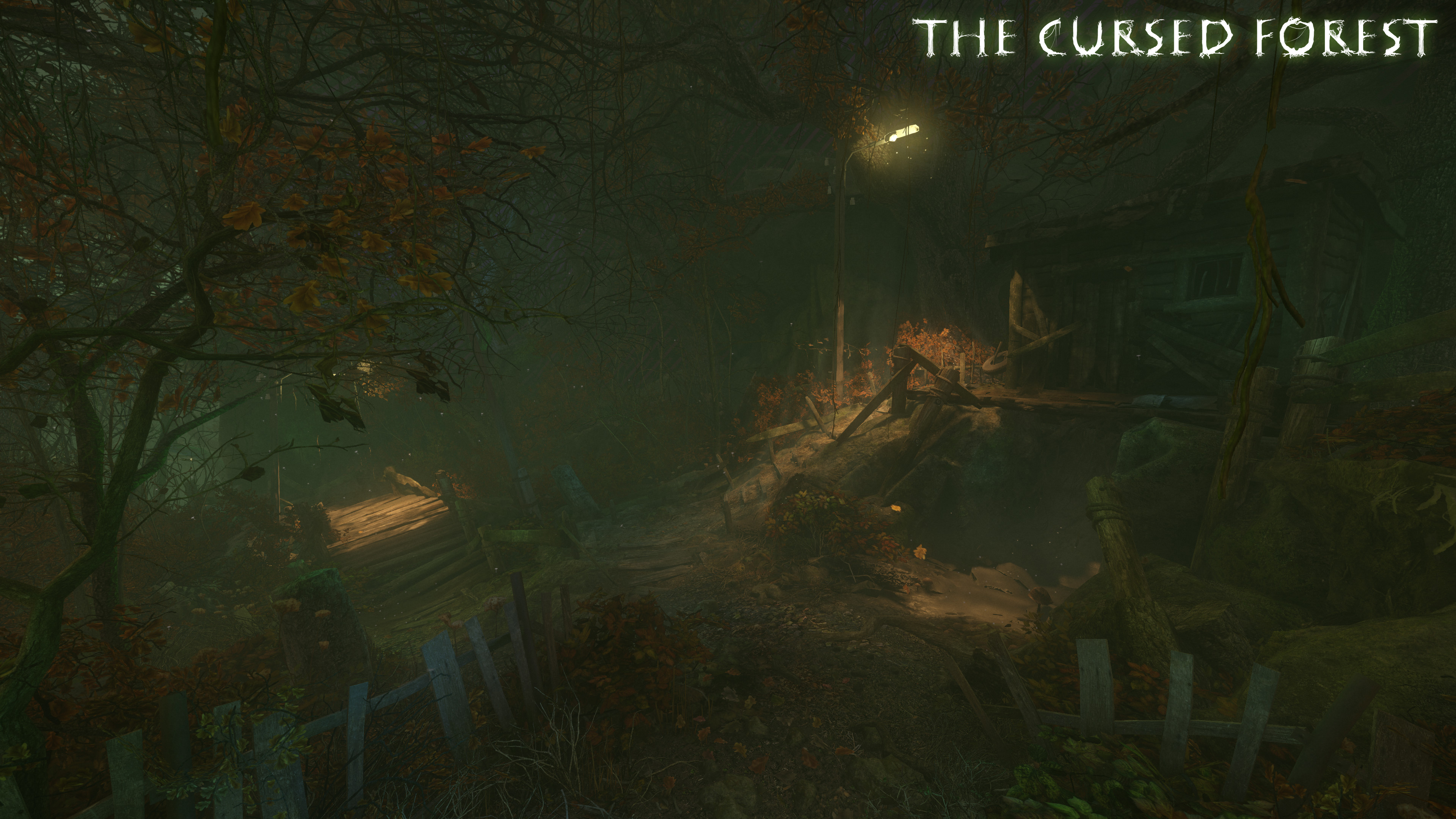 the cursed forest L3 1 L f