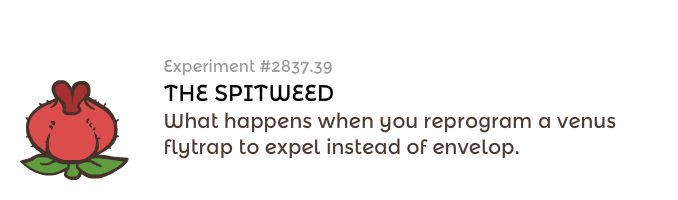 Spitweed