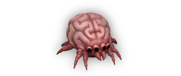 brain bug
