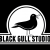 BlackGullStudios