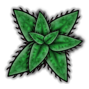 plant 1