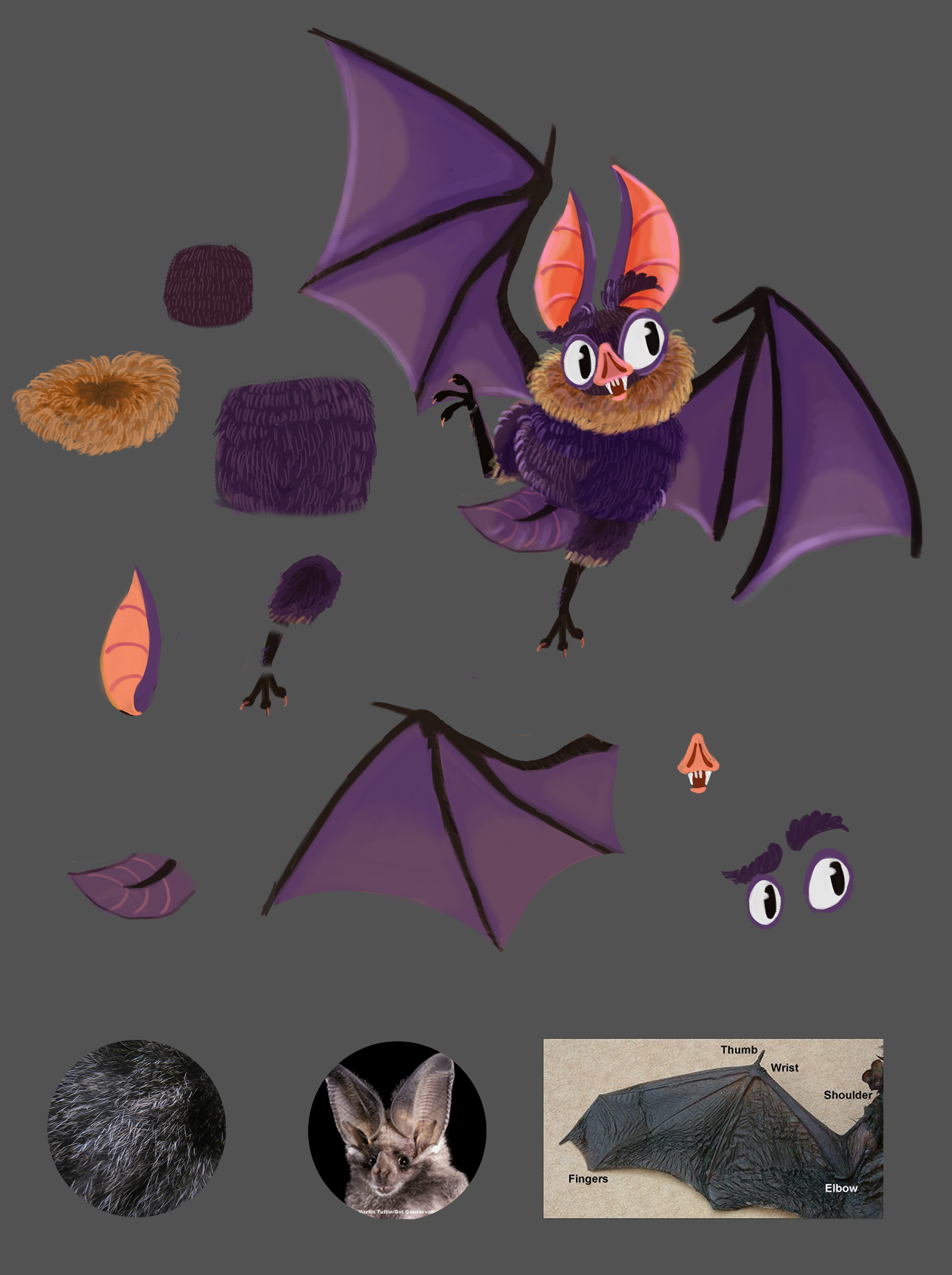 bat concept 02