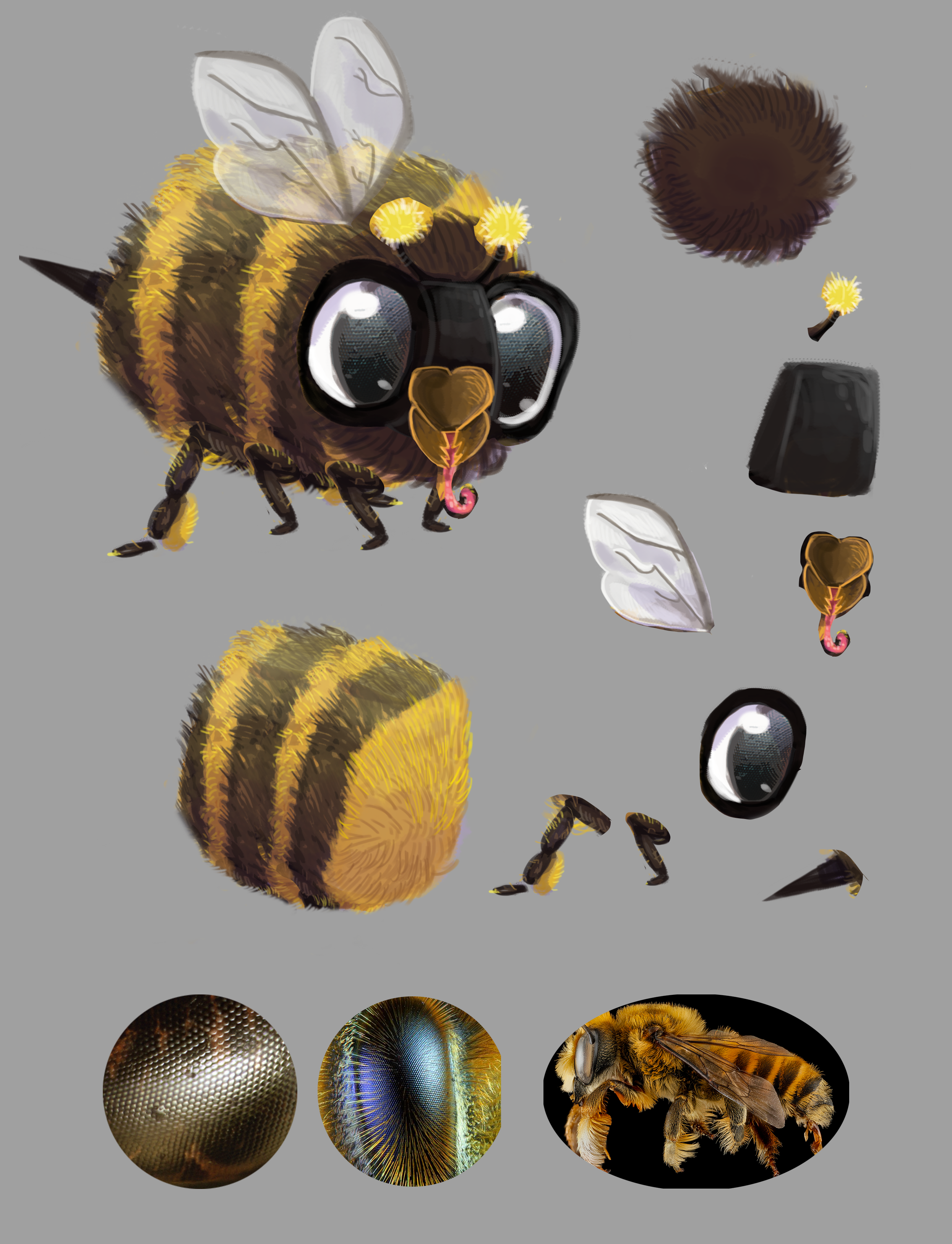 bee concept 2