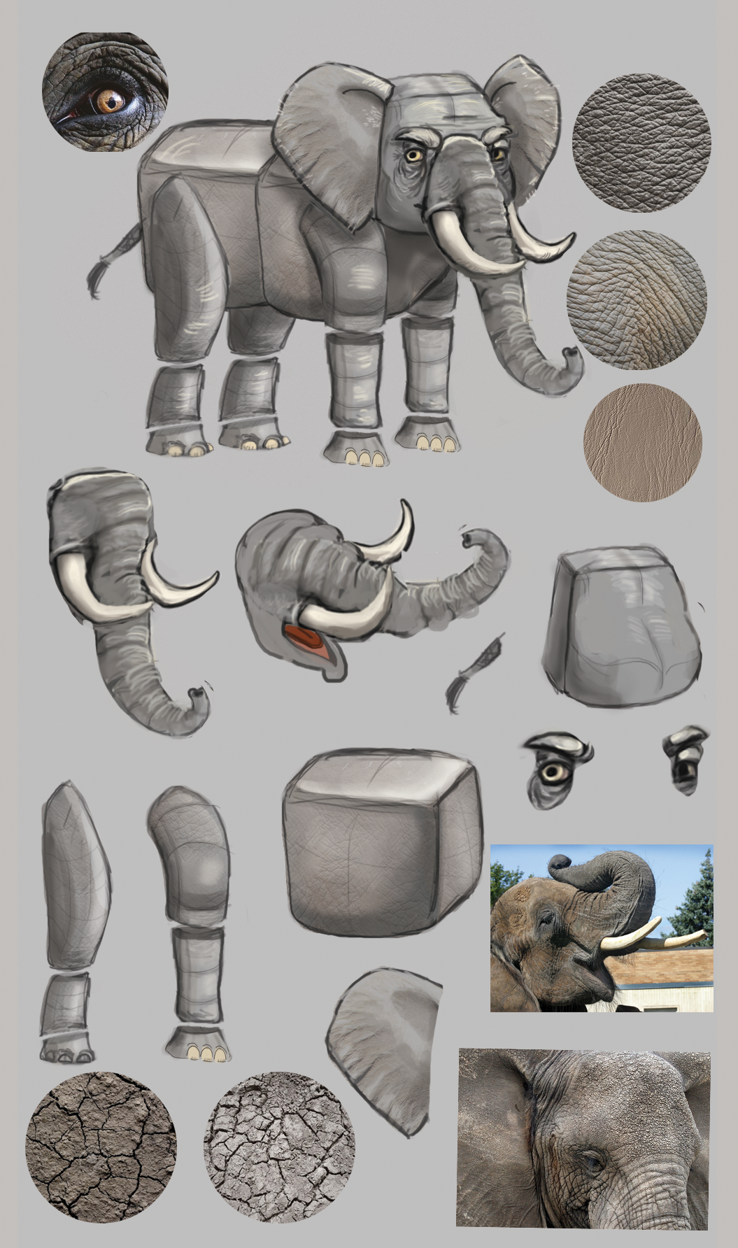 elephant concept 03