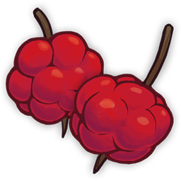 Berries2