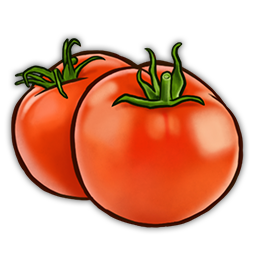 Tomato