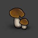 MushroomPennyBun 03