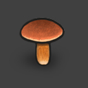 MushroomRust 03