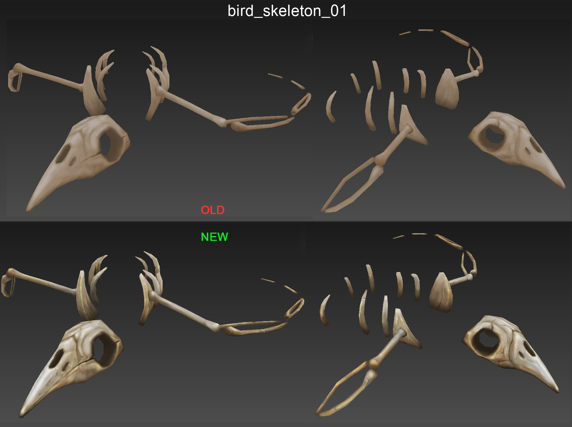 bird skeleton 01