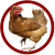 ChickenDude47