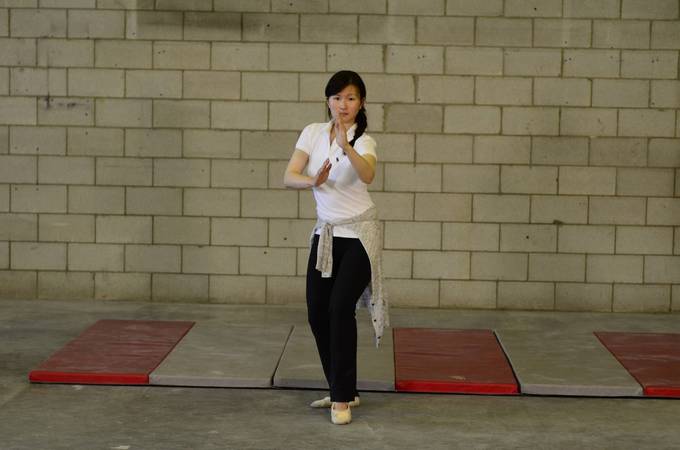 Shuyan motion capture