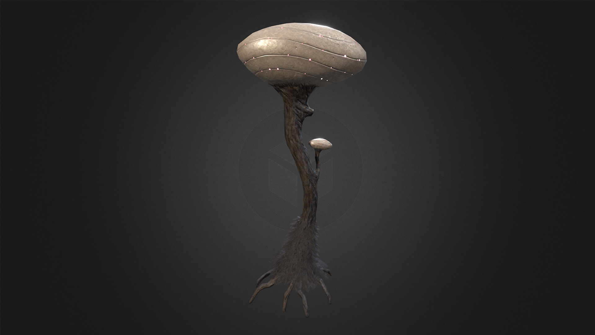 pantropy mushroom plant