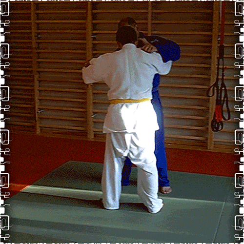 Judo KS small