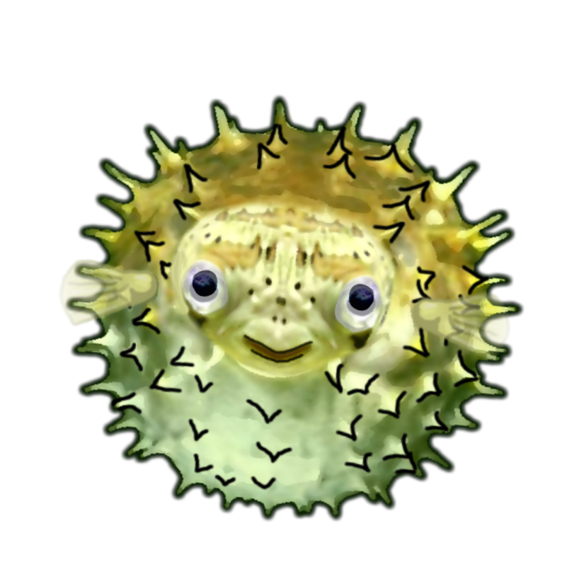 Blowfish blowfish BlowingUp 018