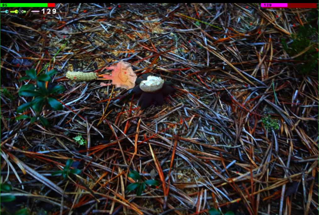 Our hero, a slime, and deadly fungi