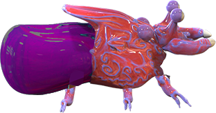 coloredbeetle