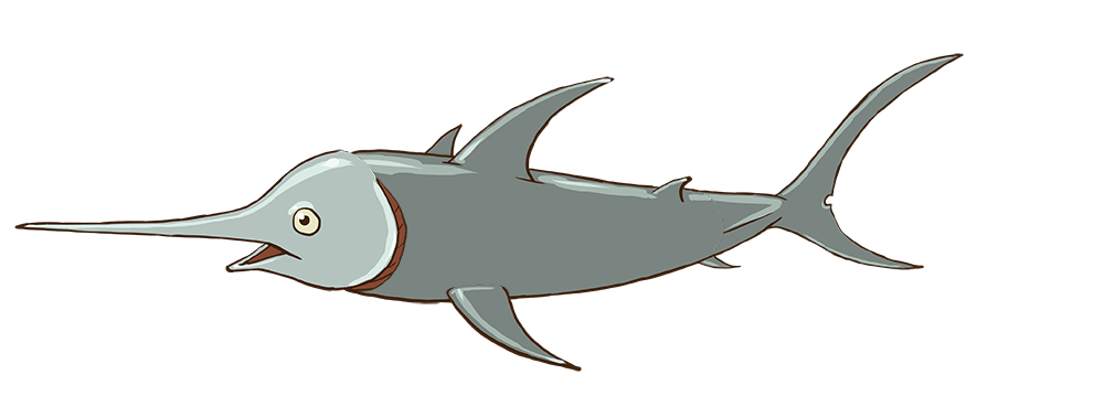 13 Swordfish