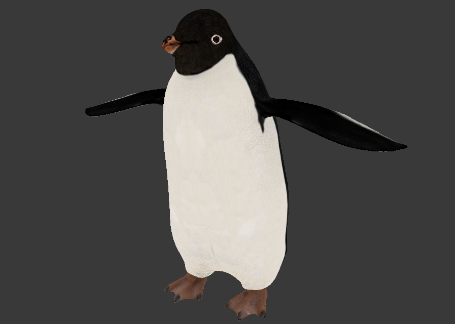 Adelie Penguin