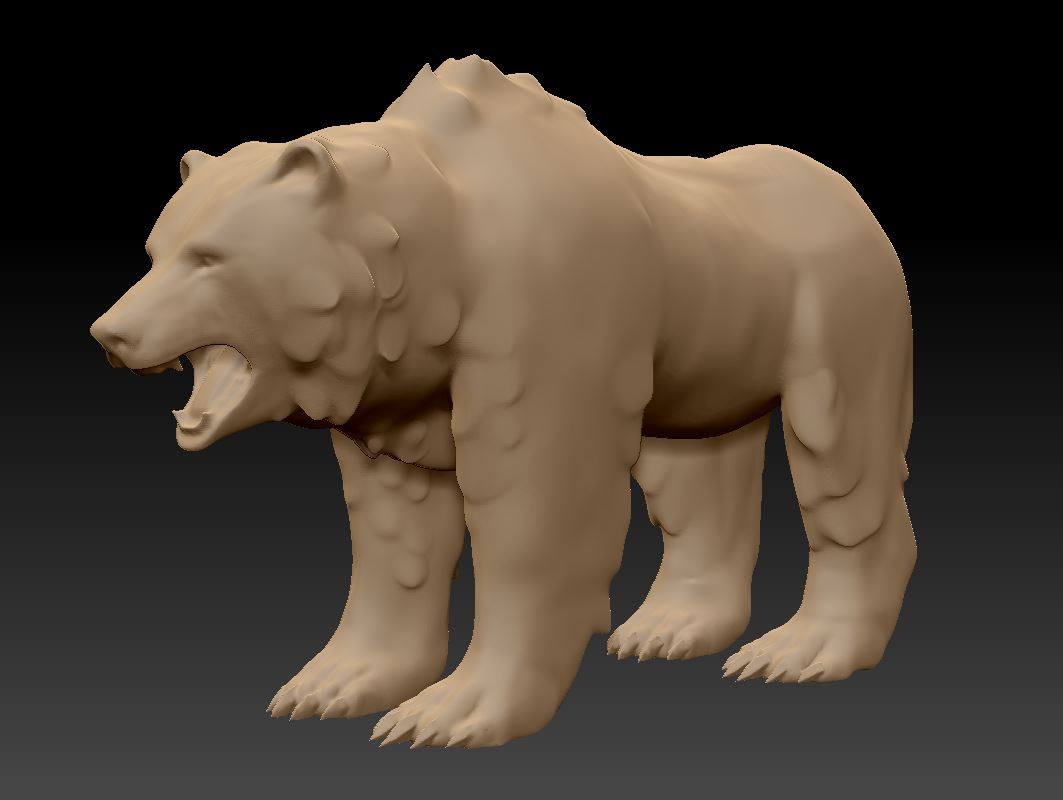 Bear Model