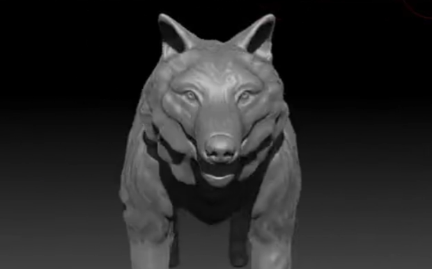 Wolf Front View - Stu