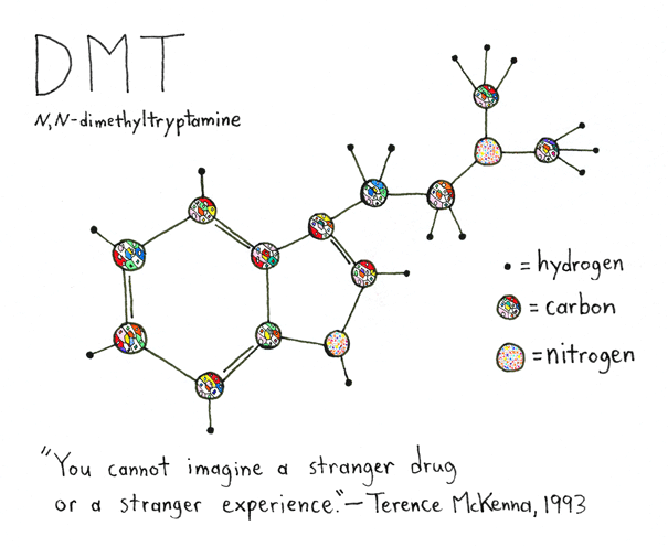 Dimethyltryptamine