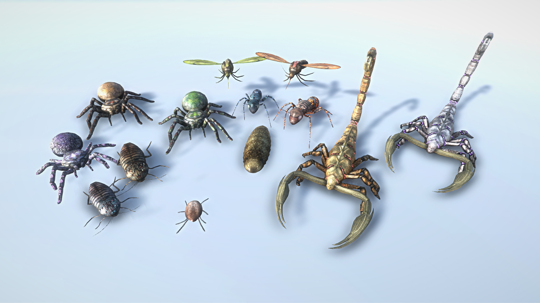 Insects of BoE