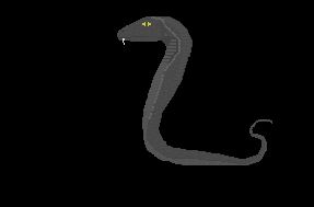 King Cobra animations