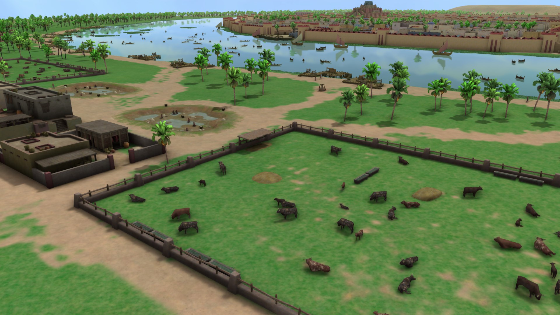 Sumerians Livestock